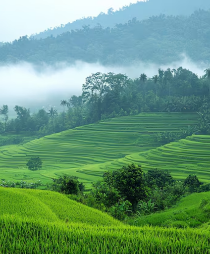 Shakuntal Tours & Travels